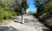 Trail Walking Darnius - Barrage Boadella jusque St Lorenct.  - Photo 11
