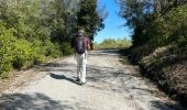 Tocht Stappen Darnius - Barrage Boadella jusque St Lorenct.  - Photo 11