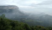 Trail Walking Saint-Mathieu-de-Tréviers - Tour du Pic St-Loup depuis St-Mathieu - Photo 2