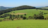 Trail On foot Poppenhausen - Abtsroda - Rhön-Rundweg 7 - Photo 1