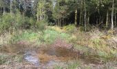 Trail Walking Spa - de la Sauveniere à la Reine, autour de Malchamps  - Photo 12