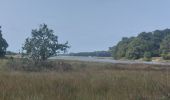 Trail Walking Landaul - PR_56_Landaul_BA_02_Moulin-Demi-Ville-Et-Listoir_Circuit4a_20260714 - Photo 10
