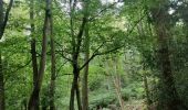 Randonnée Marche Esneux - Le long de l'Ourthe - Photo 2