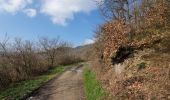 Trail Walking Houyet - rando custinne 8 /03/2021 - Photo 14