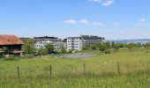 Trail On foot Zurich - Milchbuck - Fluntern - Photo 8