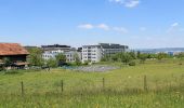 Trail On foot Zurich - Milchbuck - Fluntern - Photo 8