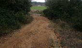 Trail Walking Baron - Bouzigues-Baron - Photo 1