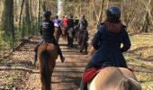 Trail Horseback riding Creutzwald - Falck Forêt de la Houve - Photo 1