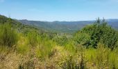 Randonnée Marche Les Plantiers - coeur des cevennes - Photo 4