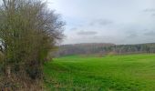 Tocht Stappen Kelmis - la calamine - château thor / retour  - Photo 10