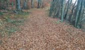 Tour Wandern Bourdeaux - col de Boutière 1 - Photo 11