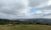 Tocht Stappen Saint-Jean-Saint-Maurice-sur-Loire - Bully 31/08/2022 - Photo 3