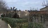 Tour Wandern Les Matelles - Matelles_St-Jean-de-cucules - Photo 10