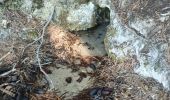 Randonnée Marche Barcillonnette - Lac de Peyssier  - Photo 11