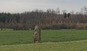 Randonnée Marche Durbuy - ballade autour des menhirs, dolmens et pierres de légendes de Weris - Photo 6