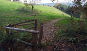 Tour Wandern Stoumont - Le Roannay, le mont des Brumes, la fagne - Photo 19