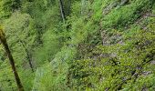 Tocht Stappen Consolation-Maisonnettes - Cirque de la Consolation - cascade du Lancot - Photo 16