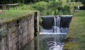 Tour Zu Fuß Schwarzenbruck - Burgthann Walking König-Ludwig-Runde - Photo 7