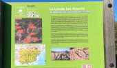 Percorso Marcia La Londe-les-Maures - La LONDE DOLMEN GAUTABRY - Photo 8