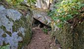 Randonnée Marche Fontainebleau - Fontainebleau sentier Denecourt 10 - Photo 18