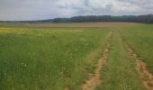 Randonnée Marche Rouvroy - Torgny - Lamorteau - Photo 6