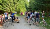 Trail Walking Martelange - Club canin chestrolais juin 2019 - Photo 6