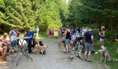 Tour Wandern Martelingen - Club canin chestrolais juin 2019 - Photo 6