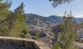 Tour Wandern Boulbon - Boulbon et le Moulin Bonnet - Photo 10