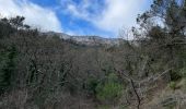 Randonnée Marche Pourcieux - Crêtes du Mont Aurélien - Photo 17