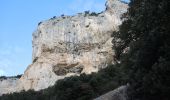 Randonnée Marche Bonnieux - PF-Bonnieux - De la Sanguinette à la Roque des Bancs - Photo 15