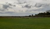 Tocht Stappen Borgloon - randonnee de l eglise fantôme  (doorkijkkerkje) - Photo 4