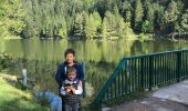 Tour Wandern Sulzern - Lac du forlet / lac noir  - Photo 3