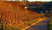 Trail On foot Knittlingen - Panorama-Rundwanderweg Freudenstein-Hohenklingen - Photo 8