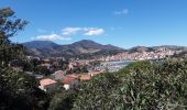 Randonnée Marche Banyuls-sur-Mer - Découverte de Banyuls  - Photo 17