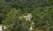 Excursión Senderismo Zonza - balade qui monte beaucoup mais belle - Photo 8