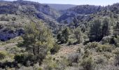 Tour Wandern Cheval-Blanc - gorge regalon Claudine Dan - Photo 10