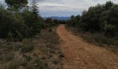 Trail Walking Draguignan - le malmont Draguignan - Photo 1