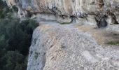 Tour Wandern Vallon-Pont-d'Arc - 26 grottes deroc Chauvet zel - Photo 9