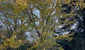 Tour Wandern Le Chesnay-Rocquencourt - Arboretum de Chevreloup - Photo 2