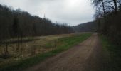 Percorso Mountainbike Virton - Aux sources du Ton  -  Balade_VTT_35kms - Photo 11