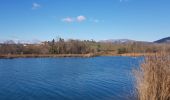 Trail Walking Belley - Chenal - Photo 1