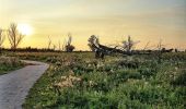 Trail On foot Lelystad - Zeearendroute - Photo 1