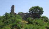 Tocht Te voet Gioia dei Marsi - Passo del Diavolo - Lecce dei Marsi - Photo 10