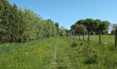 Randonnée Marche Manthelan - Manthelan - le Louroux - via PRs - 20.7km 100m 4h45 (1h) - 2025 04 30 - Photo 3