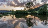 Trail On foot Schramberg - Schramberg - Rotwasser - Photo 4