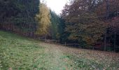 Trail Walking Stoumont - Le Roannay, le mont des Brumes, la fagne - Photo 16