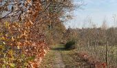 Trail Walking Zemst - S-GR Dijleland : Eppegem - Veltem - Photo 12