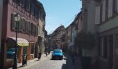 Tour Wandern Mittelbergheim - BARR - LES 3 CHATEAUX (LANDSBERG- SPESBOURG -ANDLAU) - Photo 15