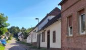 Tocht Te voet Wettin-Löbejün - Rundweg Nußgrund Tannengrund Rothenburg - Photo 3