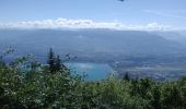 Tocht Wegfiets Le Bourget-du-Lac - relais du chat et retour par le tunnel - Photo 1